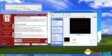 xp123国产,国产品牌的创新力量与市场影响力  第2张