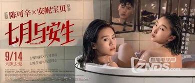 国产女同精品9,细腻情感与独特视角的青春共鸣  第3张