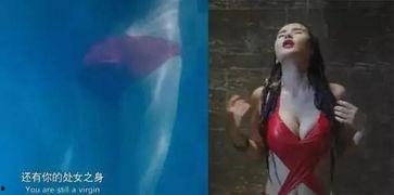 国产三级黄色影视  第1张