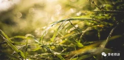 青青国产草视频  第2张