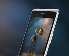 国产视频手机在线  第2张