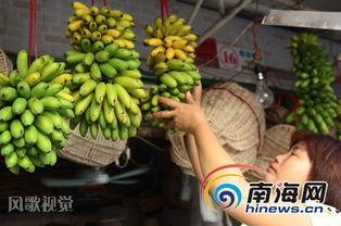 大香蕉之国产,大香蕉之国的繁荣与传奇  第2张