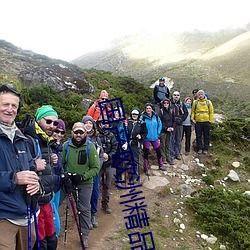 国产欧洲精品亚洲午夜拍精品,探寻激情与艺术的完美融合  第1张