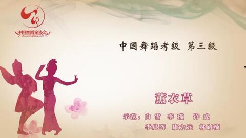 三级国产小视频,展现本土文化魅力，引领潮流风向标  第2张